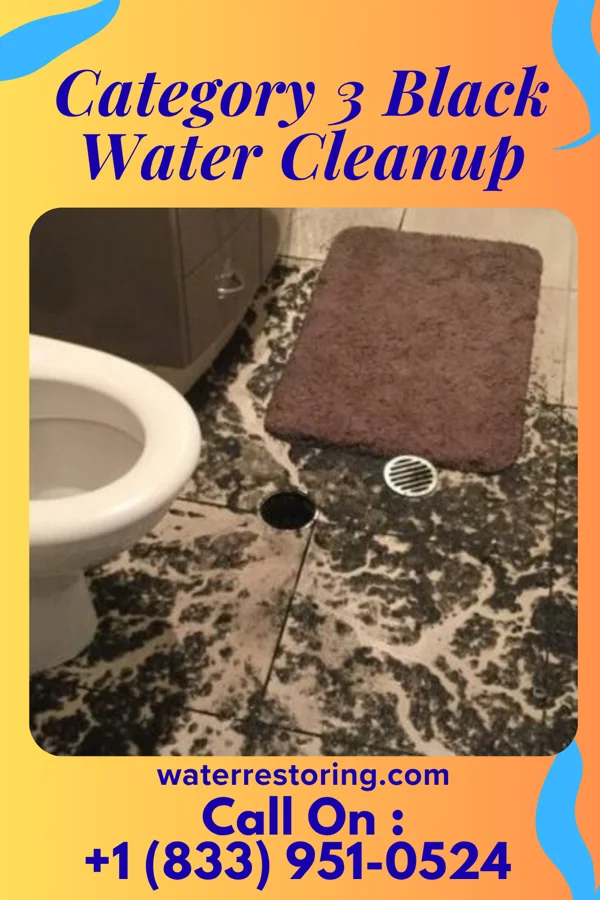 Category 3 Black Water Cleanup in Augusta, KS