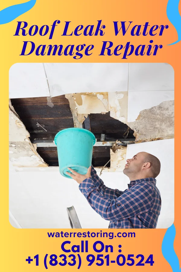 Roof Leak Water Damage Repair in Augusta, KS